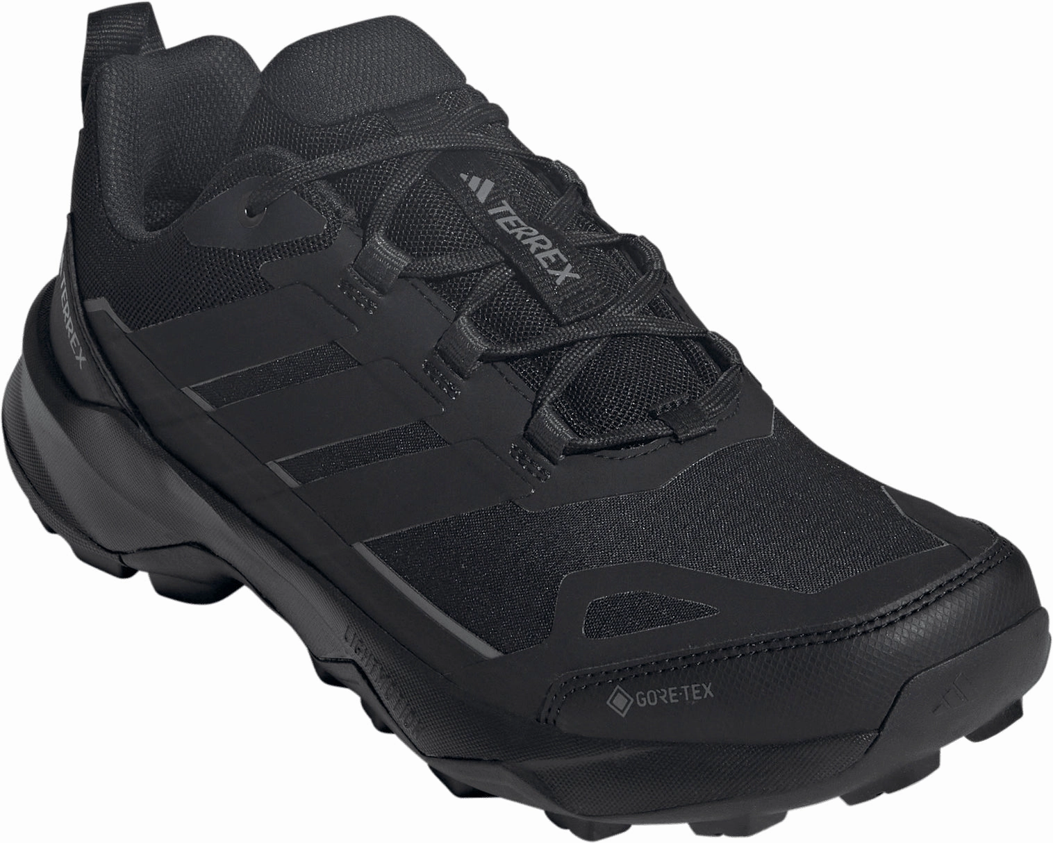 adidas Terrex Skychaser AX5 GORE-TEX Mens Walking Shoes - Black Hiking Philippines