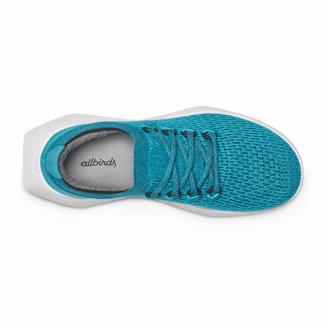 Allbirds Tree Dasher 2 - Limited Edition  -  Thrive Teal (Blizzard Sole) Toddler Running Shoes