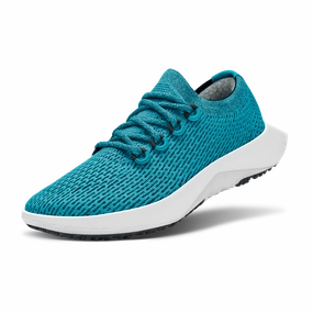 Allbirds Tree Dasher 2 - Limited Edition  -  Thrive Teal (Blizzard Sole) Good Running Shoes For Knees