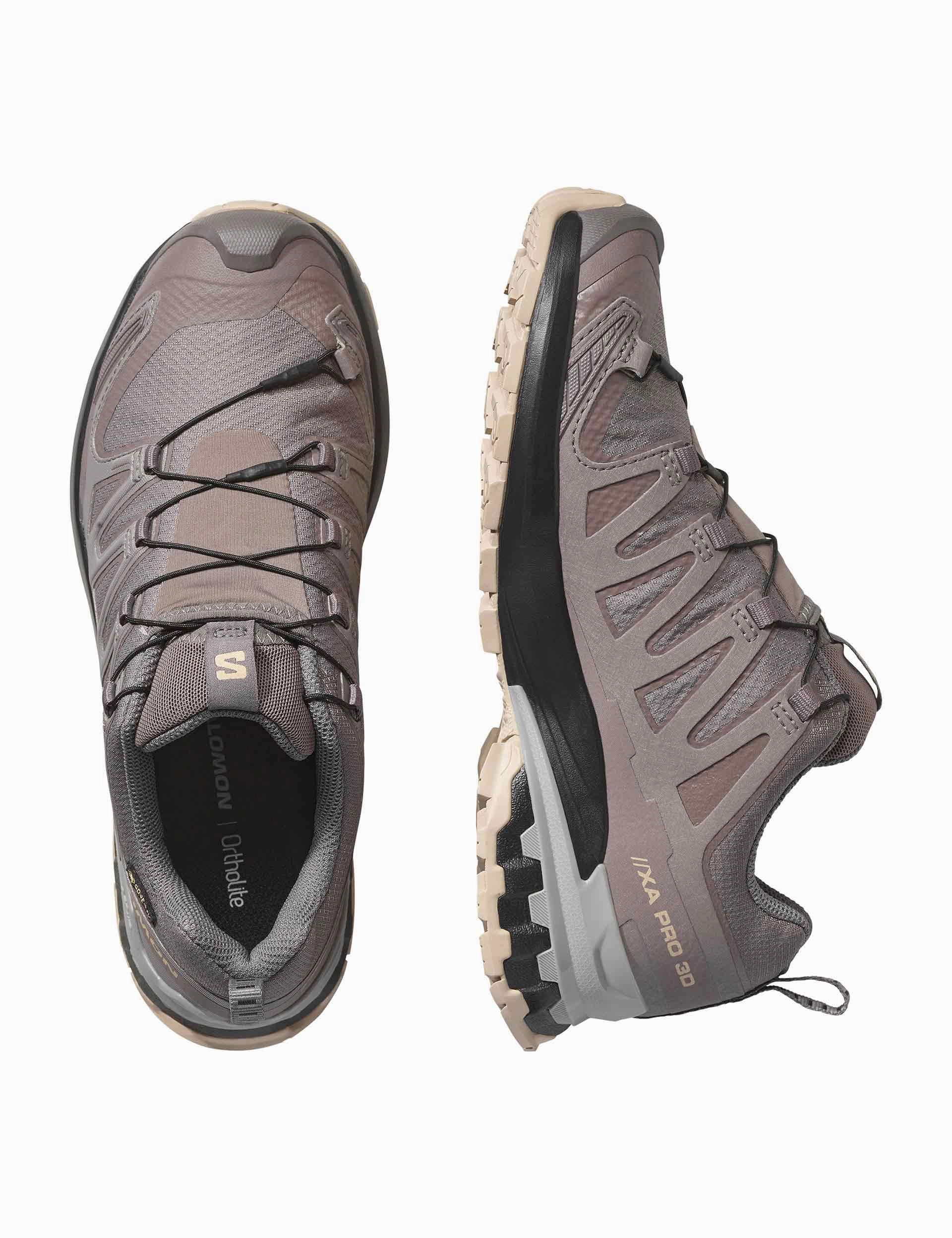 Terrex Agravic 3 Trail Running Shoes XA Pro 3D V9 Gore-Tex - Plum Kitten/Black/Gull