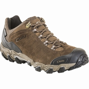 Men's Bridger Low Waterproof Fancy Hiking Shoes