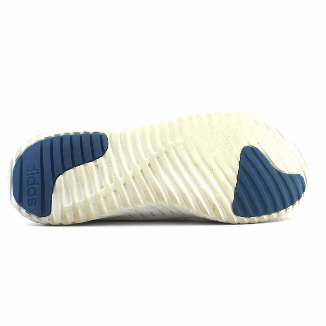 Running Shoe Geeks Reddit ADIDAS KAPTIR 2.0