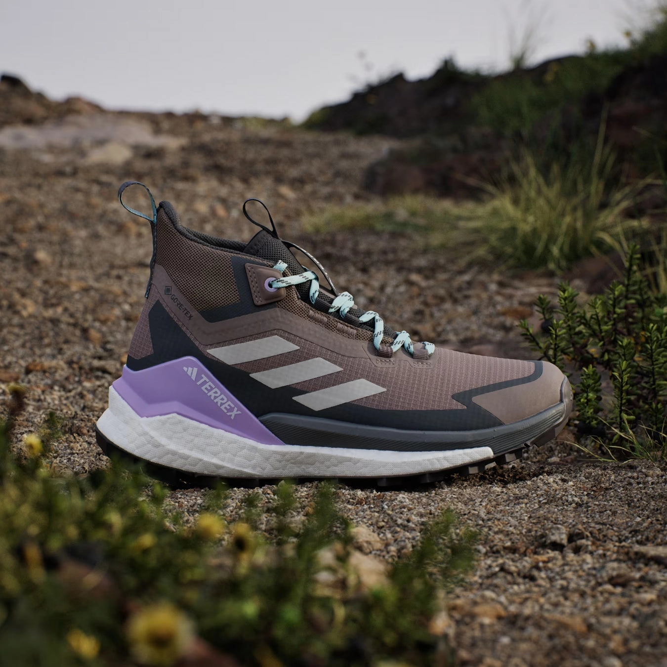 Hiking Shoes Brisbane Adidas Terrex Womens Free Hiker 2.0 Gore-Tex Hiking Shoes Trace Brown / Beige / Carbon