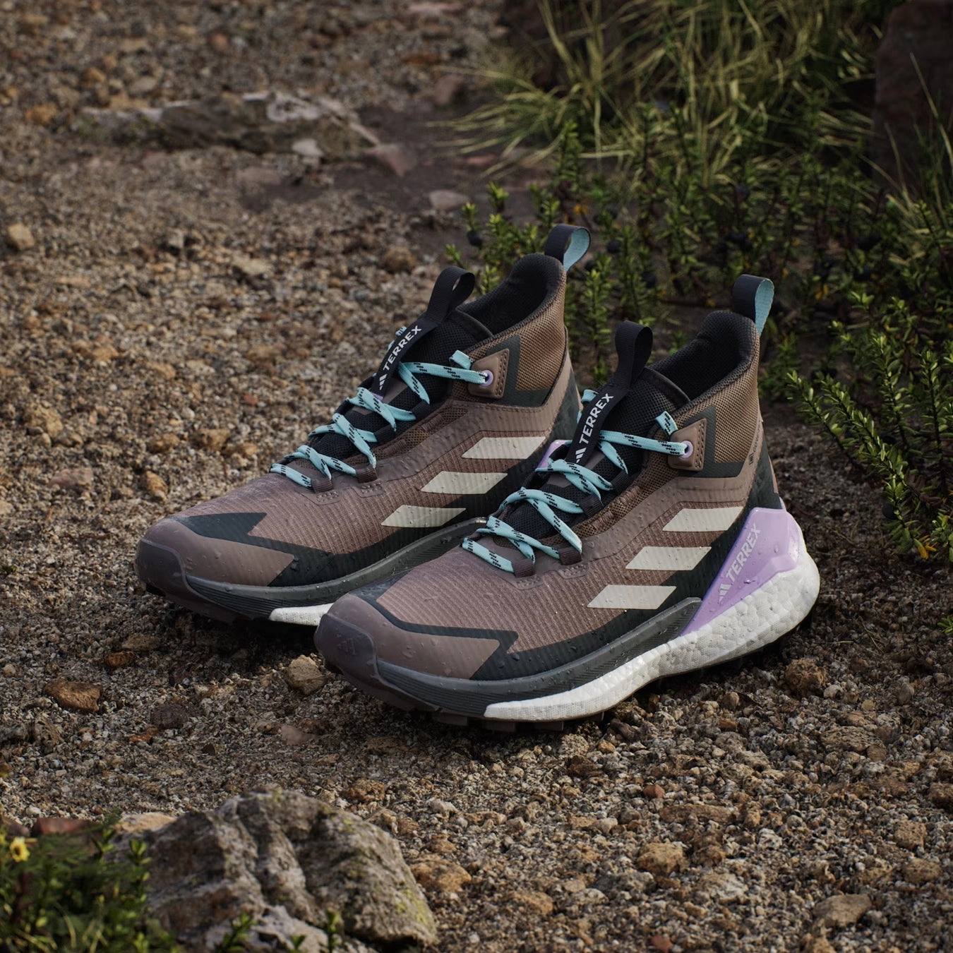 Hiking Shoes Hawaii Adidas Terrex Womens Free Hiker 2.0 Gore-Tex Hiking Shoes Trace Brown / Beige / Carbon