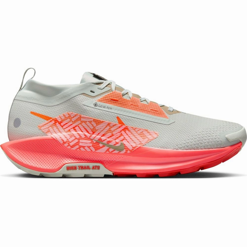 Best Road Trail Shoes Men's Nike Pegasus Trail 5 Gore-Tex, Light Silver/Hyper Crimson, 9.5 D Medium