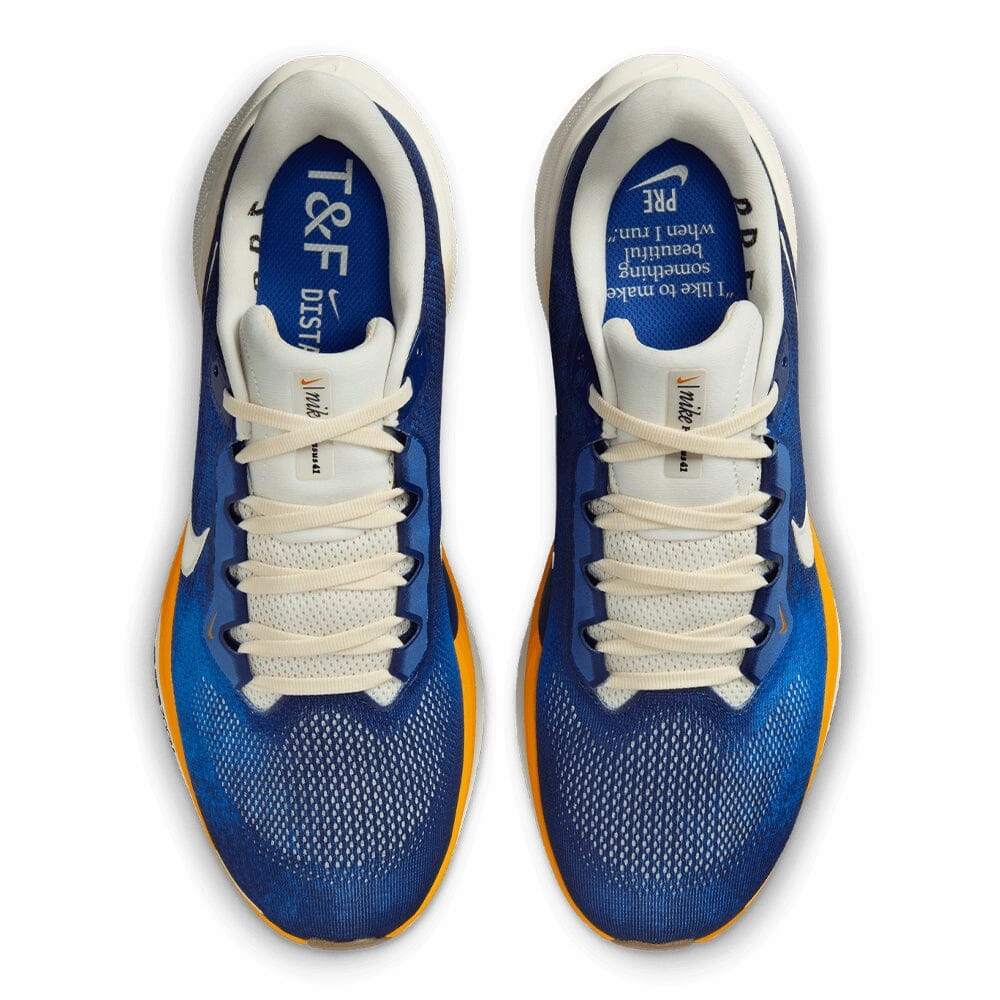 Nike Men's Pegasus 41