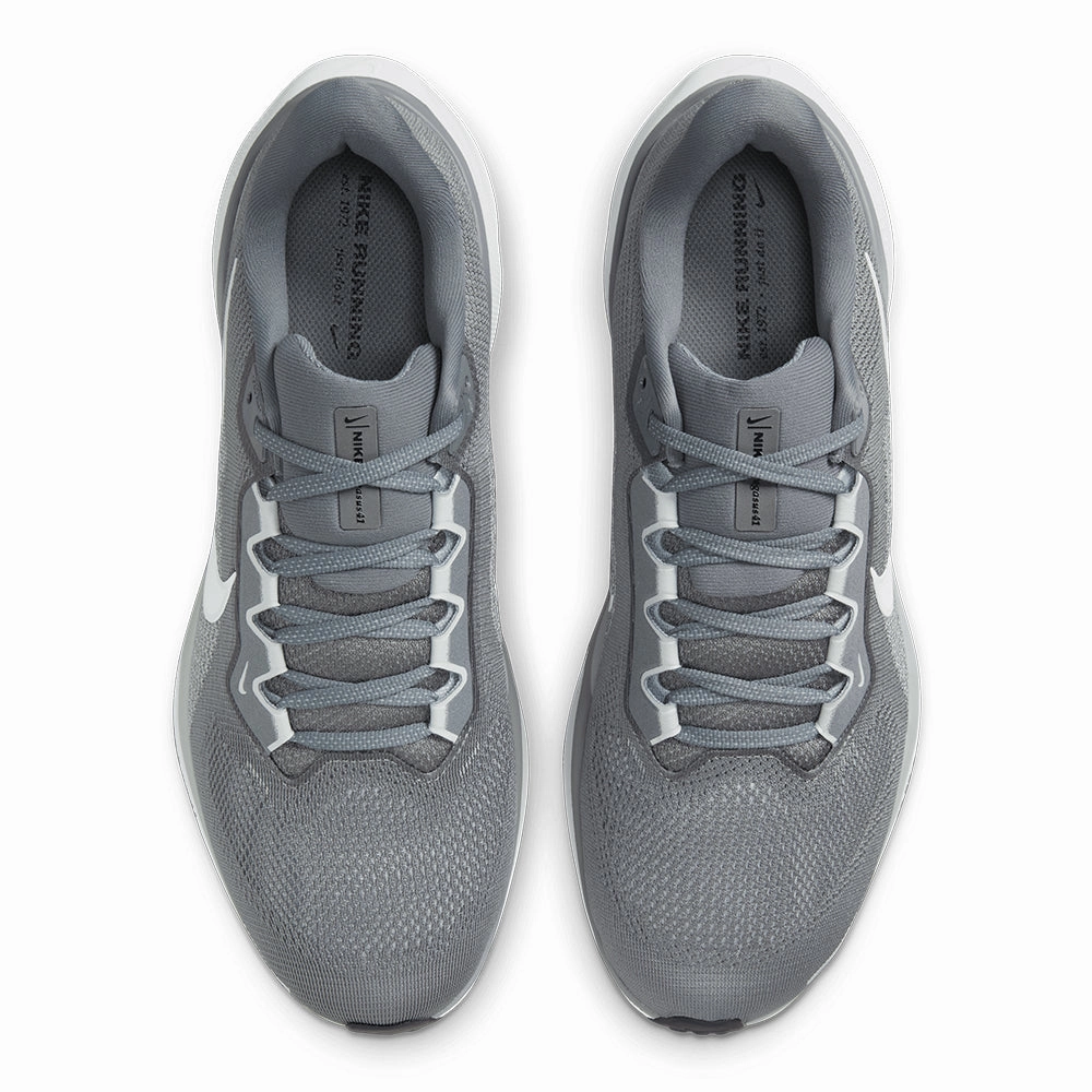 Nike Men's Pegasus 41
