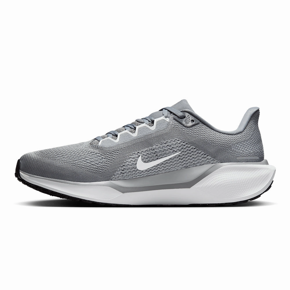 Nike Men's Pegasus 41
