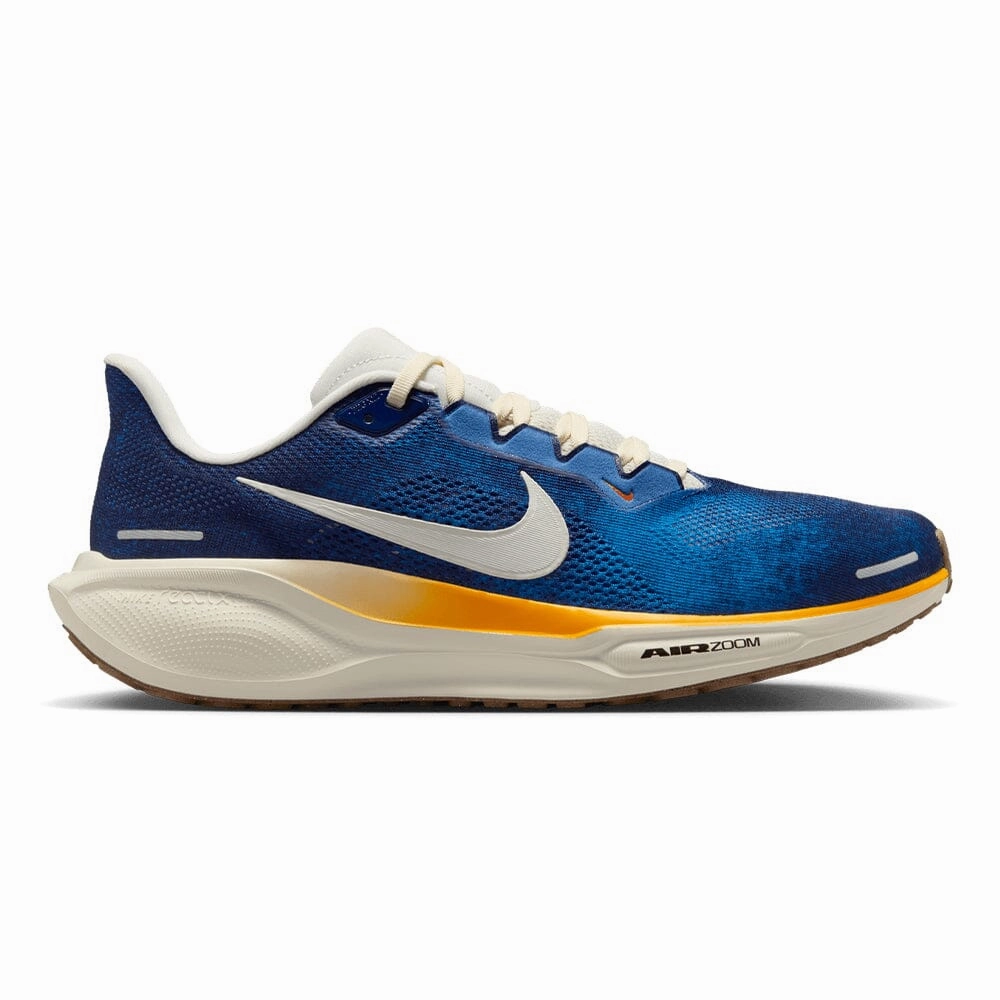Nike Gym Shoe Nike Men's Pegasus 41