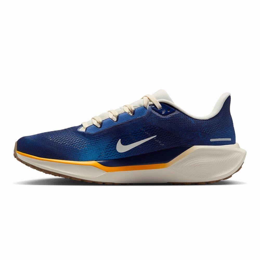Nike Men's Pegasus 41