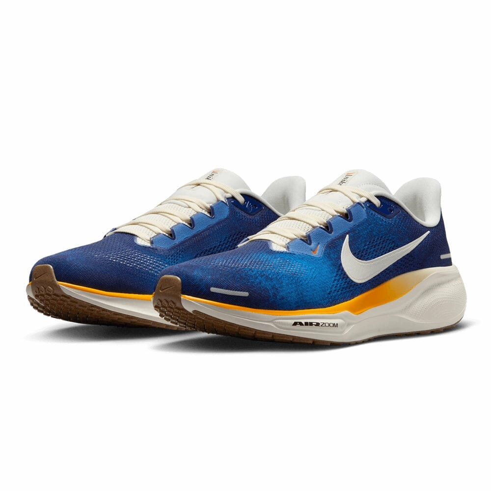 Nike Men's Pegasus 41