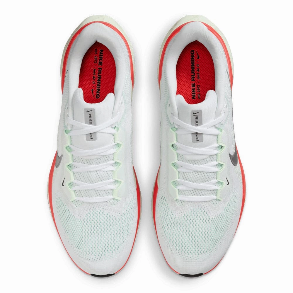 Nike Men's Pegasus 41