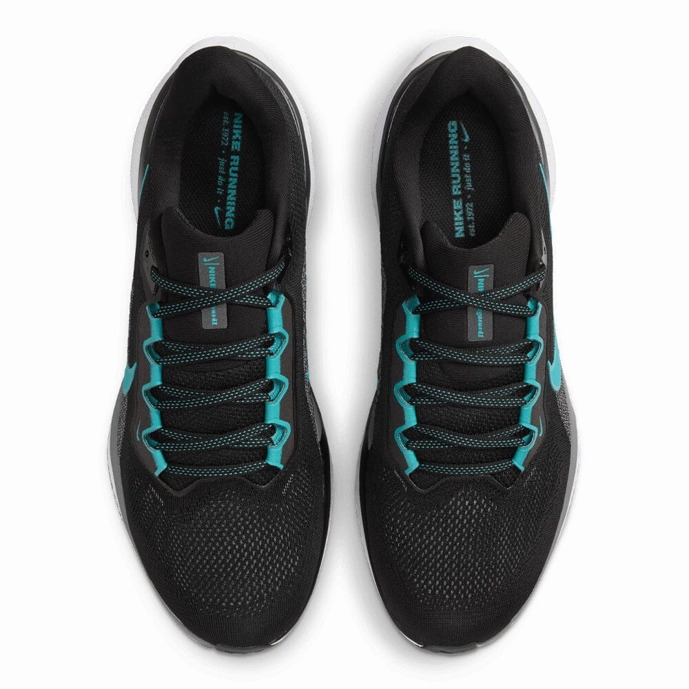 Nike Men's Pegasus 41