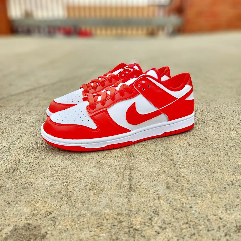 Nike Dunk Low Wash Nike Shoes