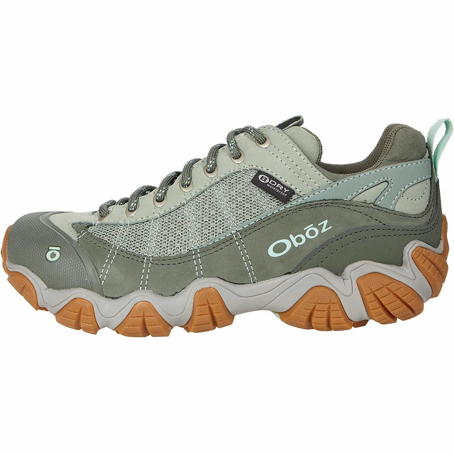 Hiking Shoes For Everyday Use Oboz Women's Firebrand II Low B-Dry Hiking Shoe