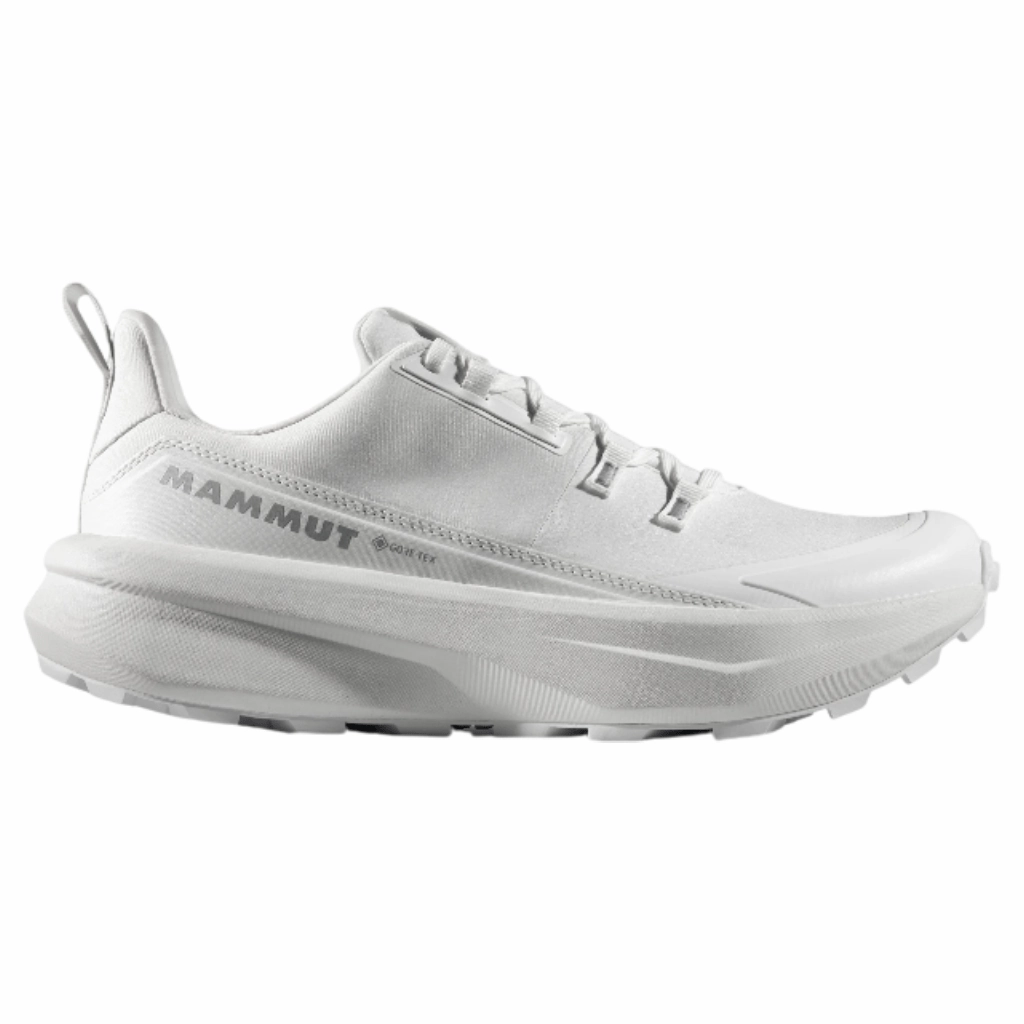 Biking Hiking Shoes Mammut Anergy Hike Low GTX Men