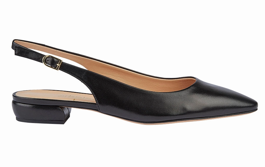 Mdf Zara Black Dickies