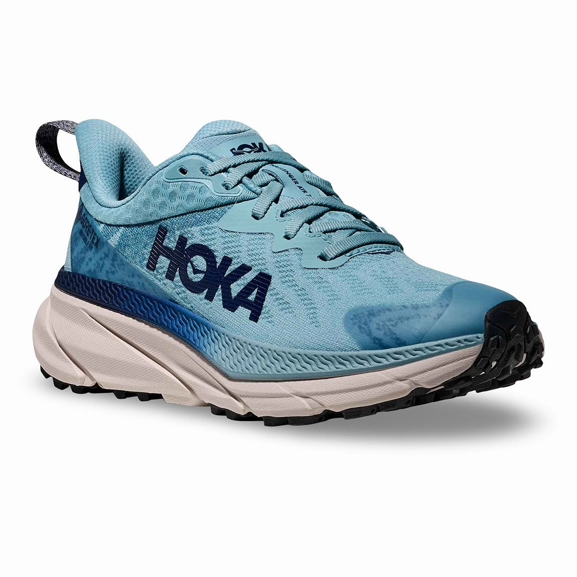 Hiking Shoe Challenger ATR 7 GTX (Women)