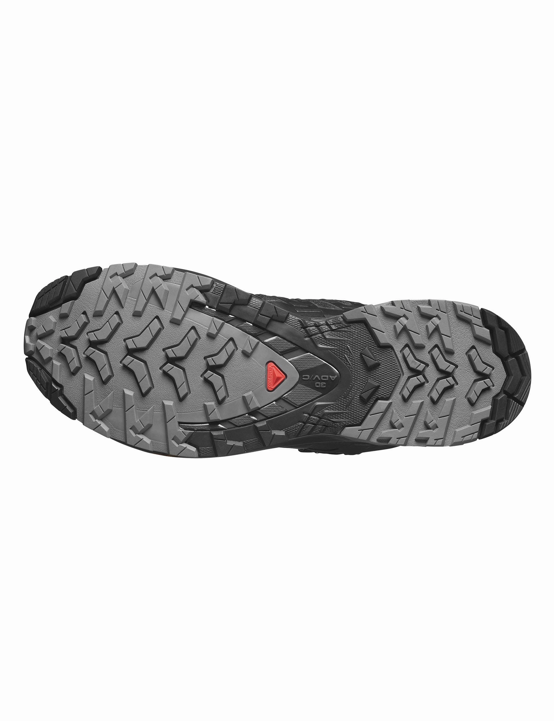 Terrex Agravic Flow 2.0 Trail Running Shoe XA Pro 3D V9 Gore-Tex - Phantom