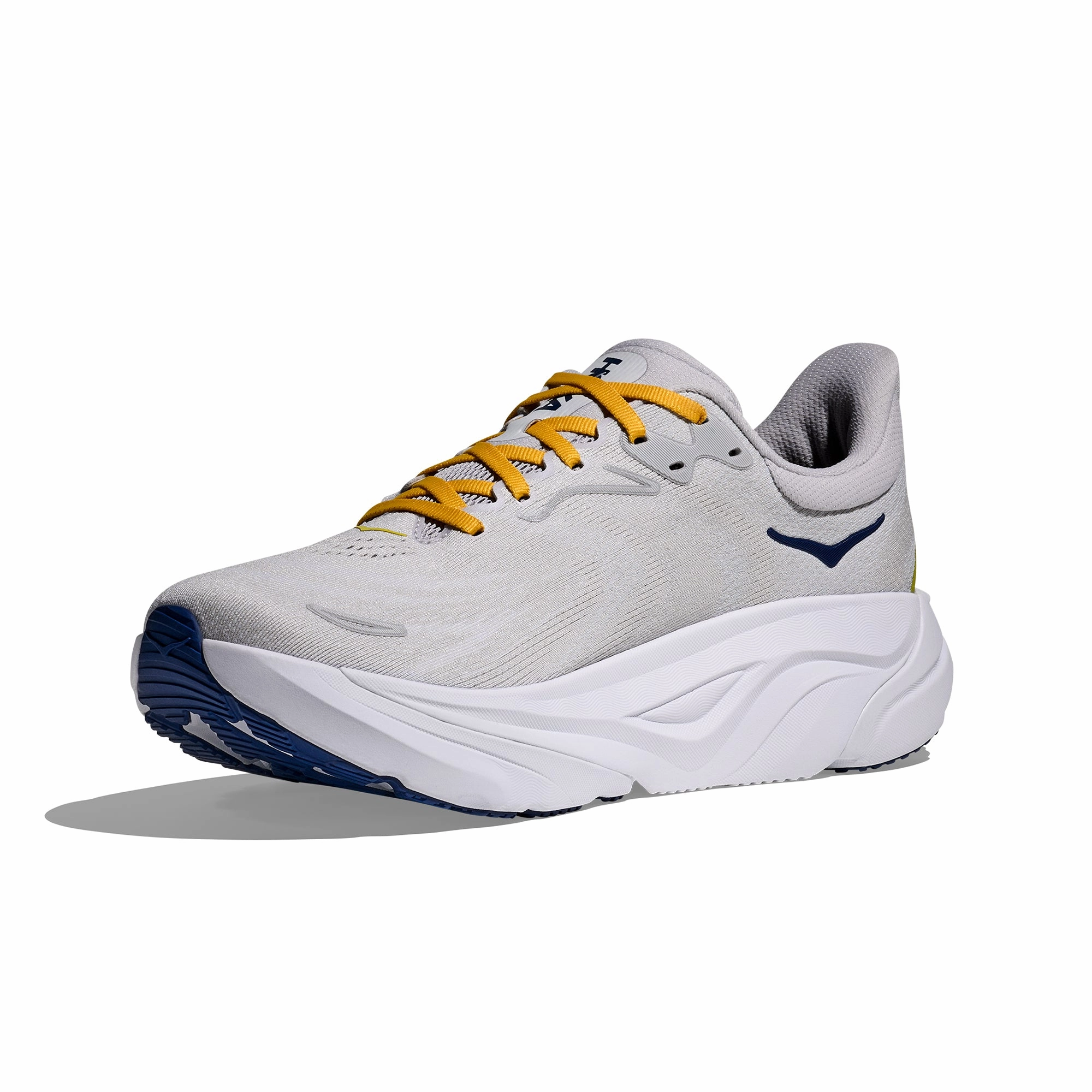 Tiger Running Shoes Arahi 8 Running Shoes